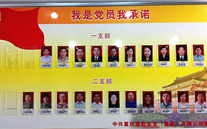 suncitygroup集团党委开展党员承诺活动