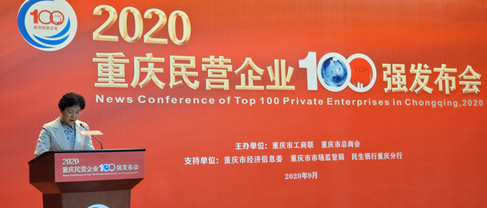 重庆市委常委、统战部部长李静在发布会上讲话